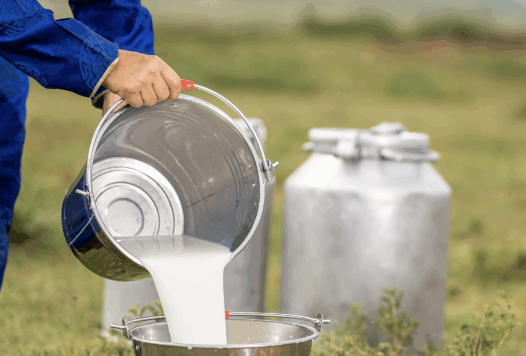 Milk bucket